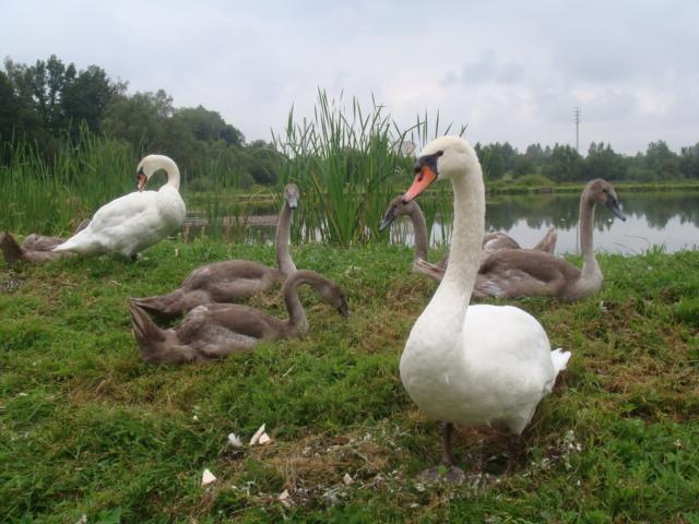 Agromurena Gryfów Śląski 외부 사진